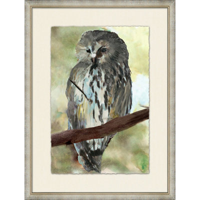 Spring Owl 1 Framed Painting
