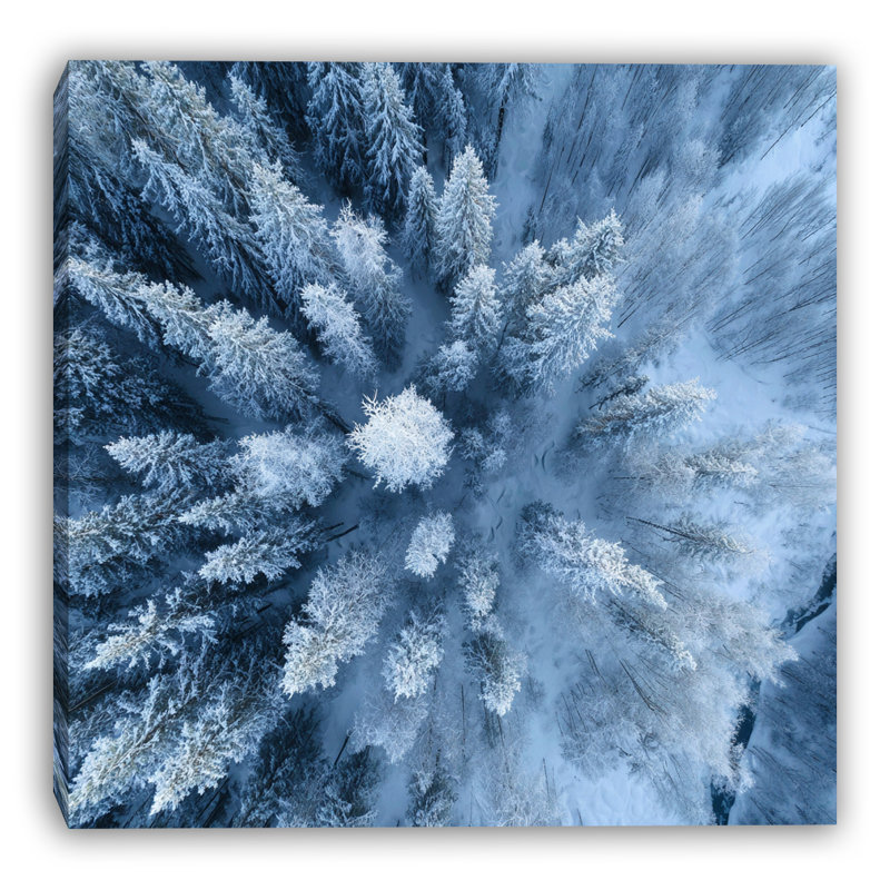 «Blue Frost Forest», art mural sur toile tendue, H 30 po x l 30 po