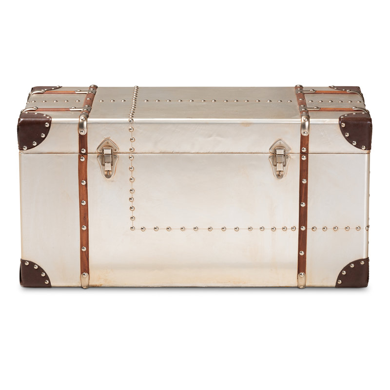 Kristhel Bechet French Industrial Metal Storage Trunk