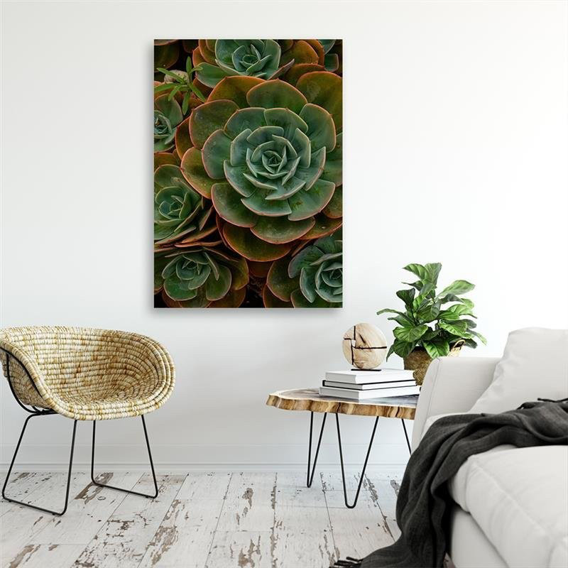 Green Succulent Flower - No Frame Print on Canvas, 100cm H x 70cm W