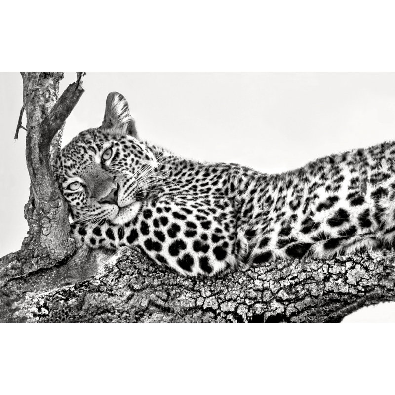 Wrapped Canvas Print, 60.96 cm H x 91.44 cm W