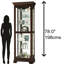 Lighted Curio Cabinet-1162398218