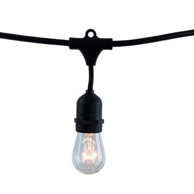Guirlande d'extérieur 14 pi avec 10 ampoules incandescentes transparentes S14 et douilles E26
