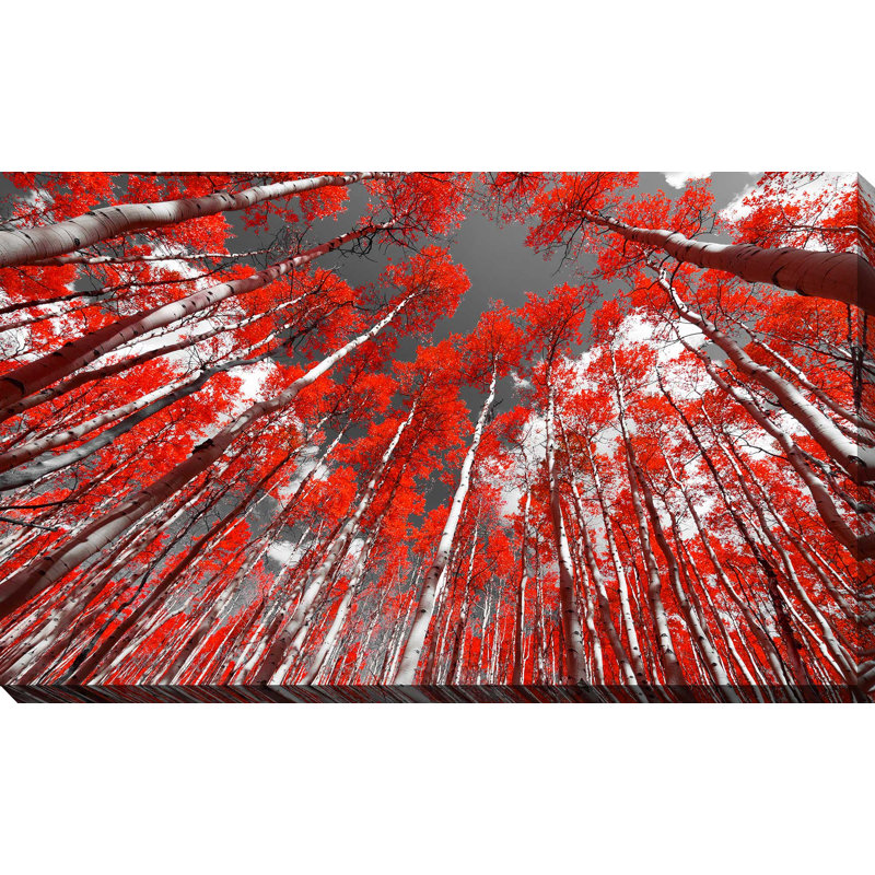 « red sky trees », reproduction d’impression sur toile tendue, H 18 po x l 30 po x P 1 po
