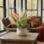 Fall Arrangement in Fiberstone Pot-187237131-187237135-187237140