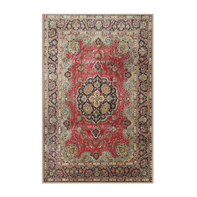 Dhiraj Oriental Indoor Rug