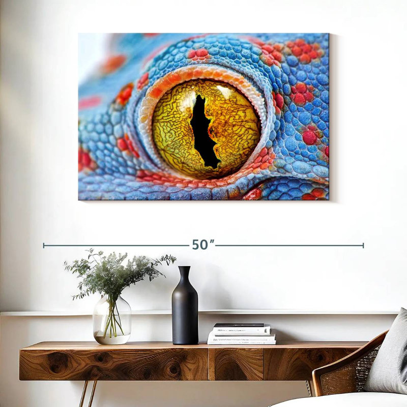 Oeil de gecko Brampt, H 26 po x l 39 po
