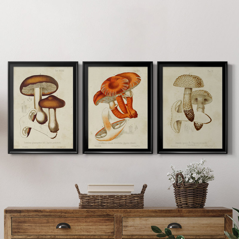 Champignon Variétés VI, reproduction encadrée de qualité supérieure, prête à être accrochée, H 36,5 po x l 79,5 po x P 1 po