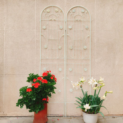 2 Pack Metal Garden Trellis Rustproof Trellis For Climbing Plants Outdoor Flower Support