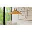 Strap 1 - Light Pendant-211666448