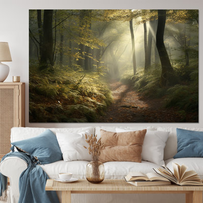 Misty Trail In The Woods I - Forest Wall Art