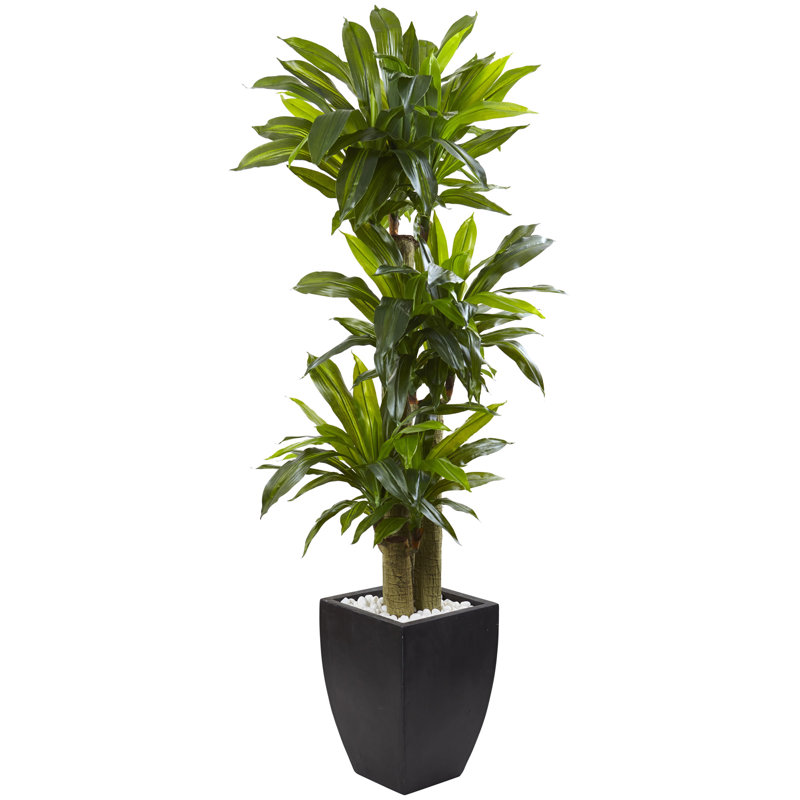 66 " H Faux Tree in Ceramic Planter