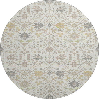 Premium Machine Washable Colmenero AMF1009 Oriental Rug