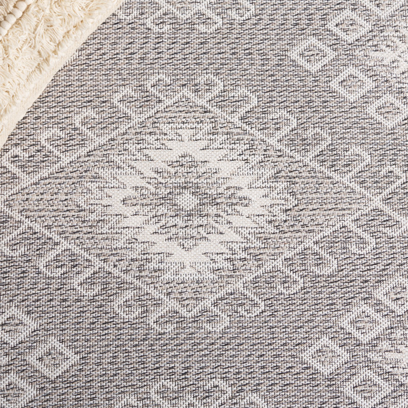 Correyn Performance Southwestern Rug, Rectangle 4' x 6'