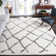 Zettie Berber Shag Performance Geometric Rug
