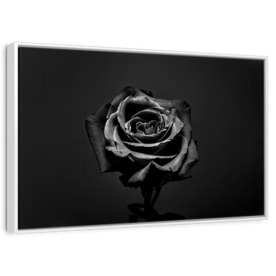 Black Rose