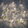 Indoor 10 - Bulb 72'' Battery Powered LED Novelty String Light