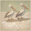 Two Pelicans Painting