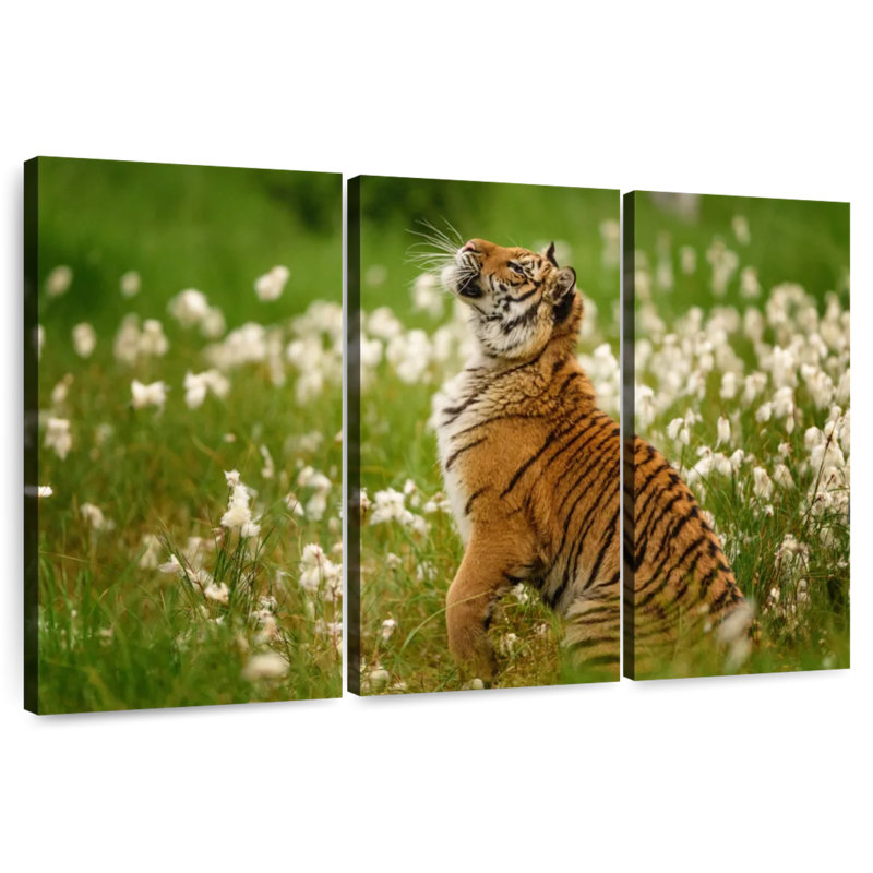 Brampt Tiger Cub, 14" H x 23" W