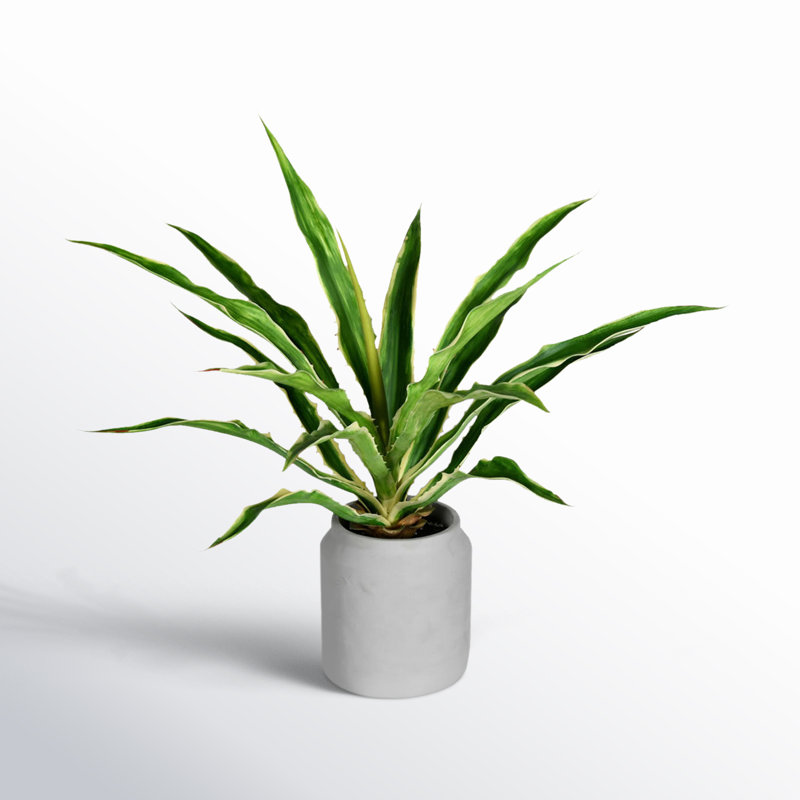 Yucca artificiel en pot, H 23 po x l 18 po x P 18 po