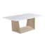 Ensemble de table basse moderne 3 pièces avec table de bout et plateau de table luxueux