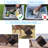52Qt 12V Car Freezer with APP Control, Portable Cooler Refrigerator(without Battery)