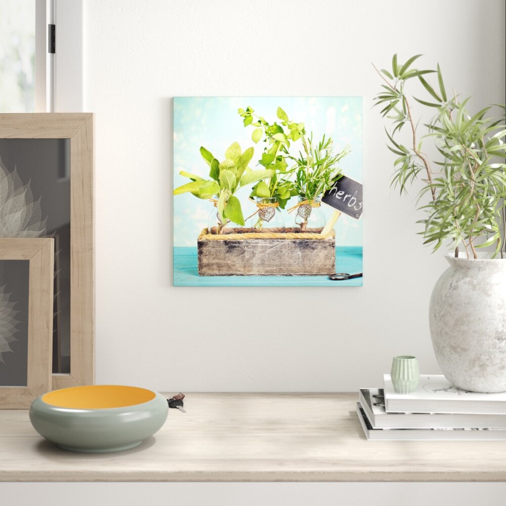 Glasbild Herbs I, Fotodruck