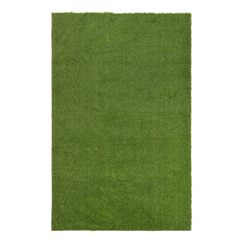 Cathlyn Indoor / Outdoor Rug, Rectangle 5'1" x 8'