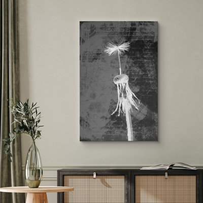 "Pissenlit noir et blanc et typographie cursive, photographie botanique, art moderne et rustique" sur