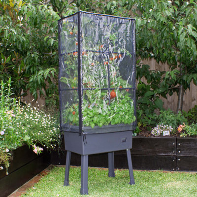 Terrarium en plastique à arrosage automatique avec treillis élevé