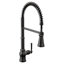 Paterson Spring Pull Down Single Handle Kitchen Faucet with Accessories and with Power Boost-404011955