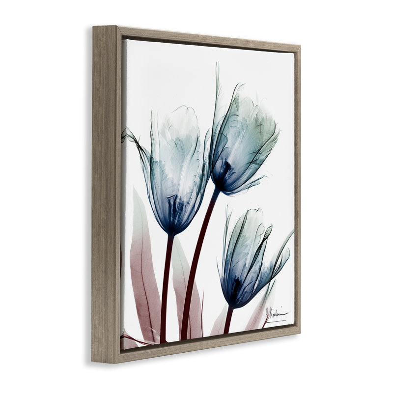 Cadre flottant avec ampoules translucides tulipes, design par Albert Koetsier, H 18 po x l 18 po