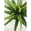 Agave vert artificiel en pot