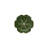 Cabbage Piece Dinnerware Set