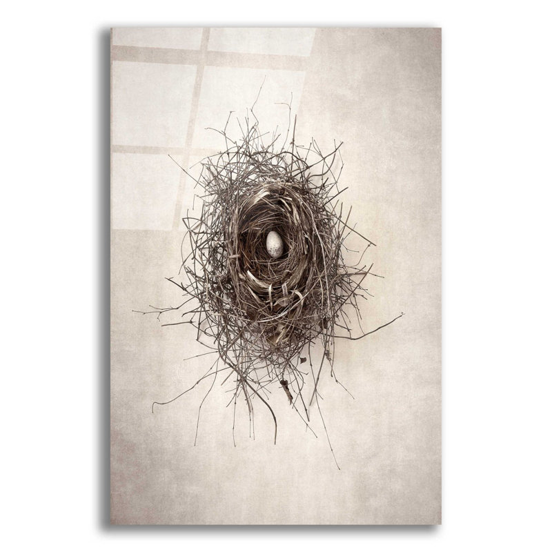 Latitude Run® 'Nest I' By Debra Van Swearingen, Acrylic Glass Wall Art, 16"X24", H 16 po x l 12 po x P 0,13 po