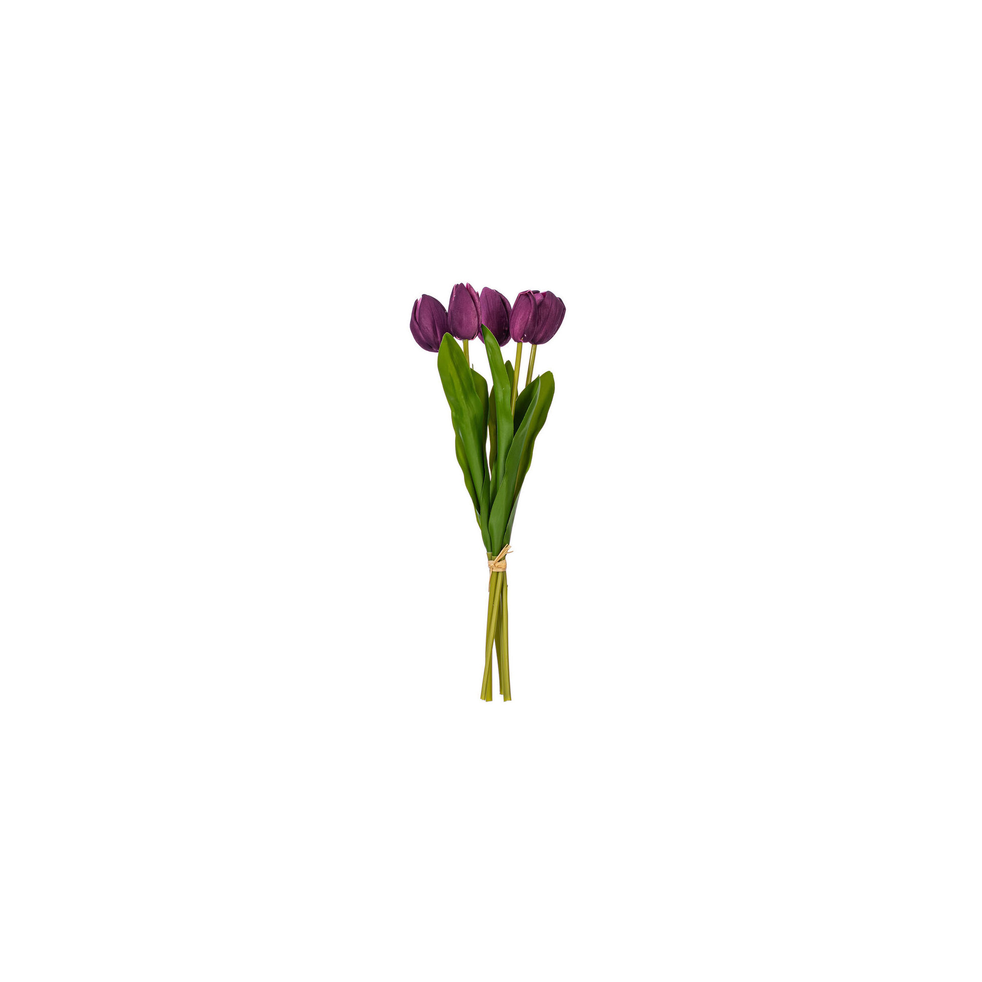 16"H Plum Tulip Bundle of 5., Purple