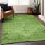 Premium Machine Washable Kiyondrea Aloe Rug-913918410