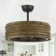 Schmier 24.4'' Ceiling Fan with Light Kit