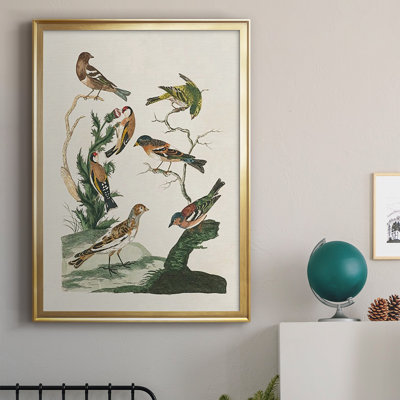 " Antique Birds In Nature I "