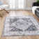 Oluremi Oriental Indoor Rug