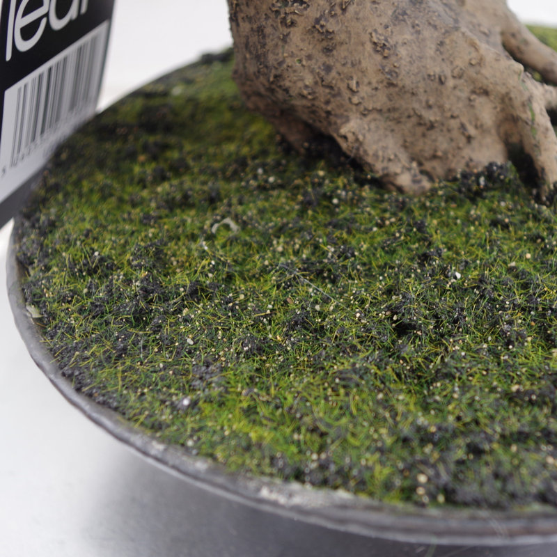 Anivea 50cm Faux Bonsai Tree in Pot