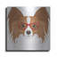 «Papillon portant des lunettes de hipster» par les affiliés Furbaby-464707767