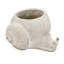 Decorative Sand And Cement Planter 8.3X7x4.7 Inches With Beige Finish For Rustic Decor Plant Combinations Indoor Arrangements