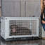 Caisse pour animaux-97966505