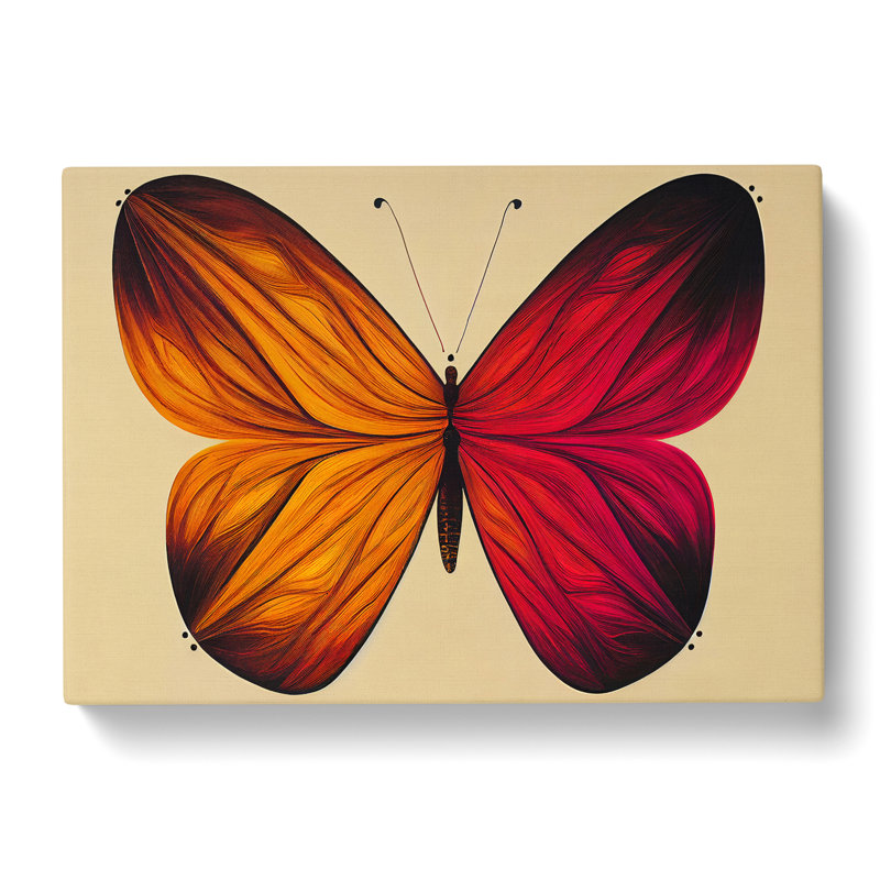 Magical Butterfly - Wrapped Canvas, 50cm H x 76cm W x 3cm D