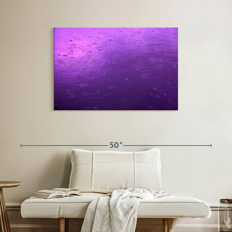 Vue de la pluie mauve Alvord