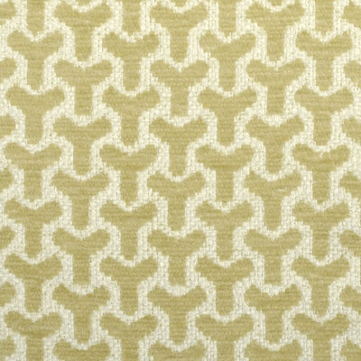 Tissu imprimé enchanté