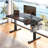 Electric Height Adjustable Standing Desk With Storage, Home Office Computer Desk With Led Lights-1689909277-1689909276-1689909274