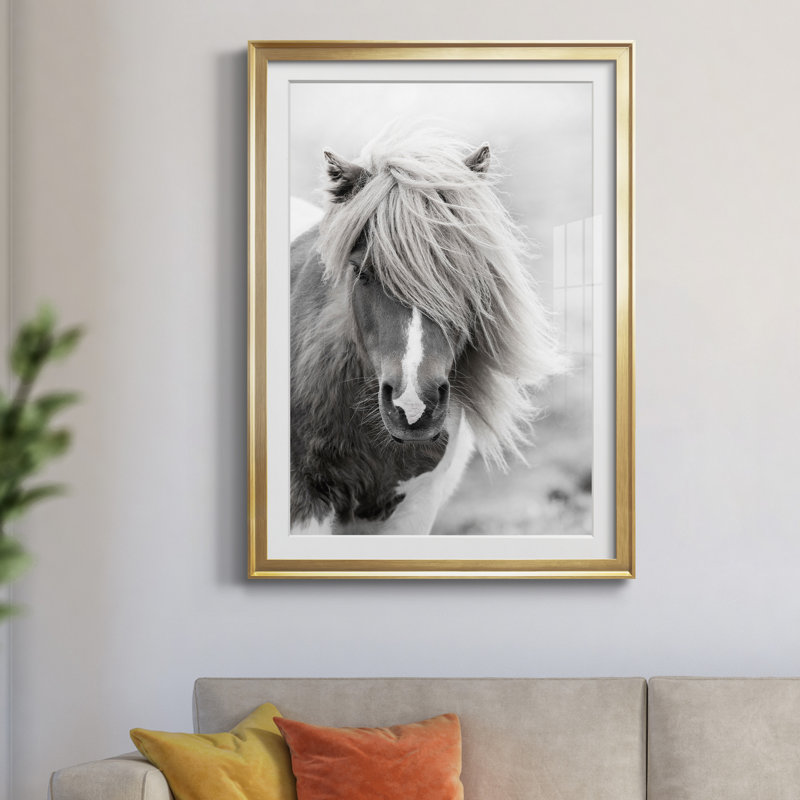 Shetland Summer par Danita Delimont - reproduction d'art sur papier encadrée, H 30,5 po x l 42,5 po x P 1,5 po