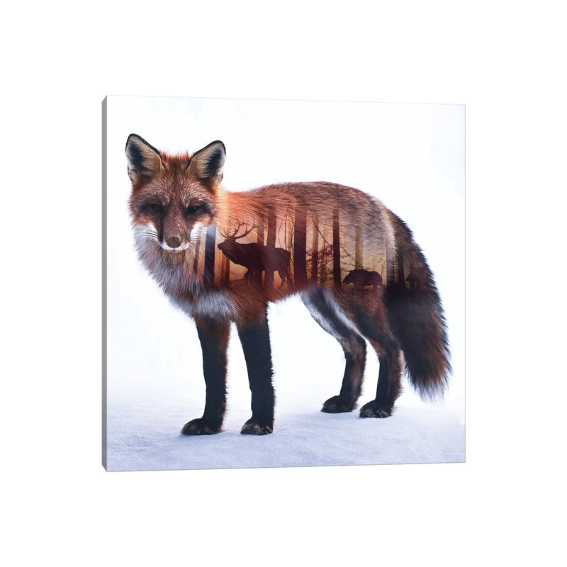 Fox I 1 Piece Wall Art on Canvas, 30.48 cm H x 30.48 cm W, Wrapped Canvas